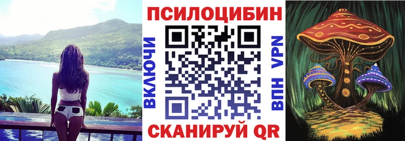 hydra вход  закладка  Лахденпохья  Галлюциногенные грибы Psilocybe 